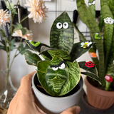 Plant Leaf Magnets