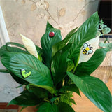 Plant Leaf Magnets