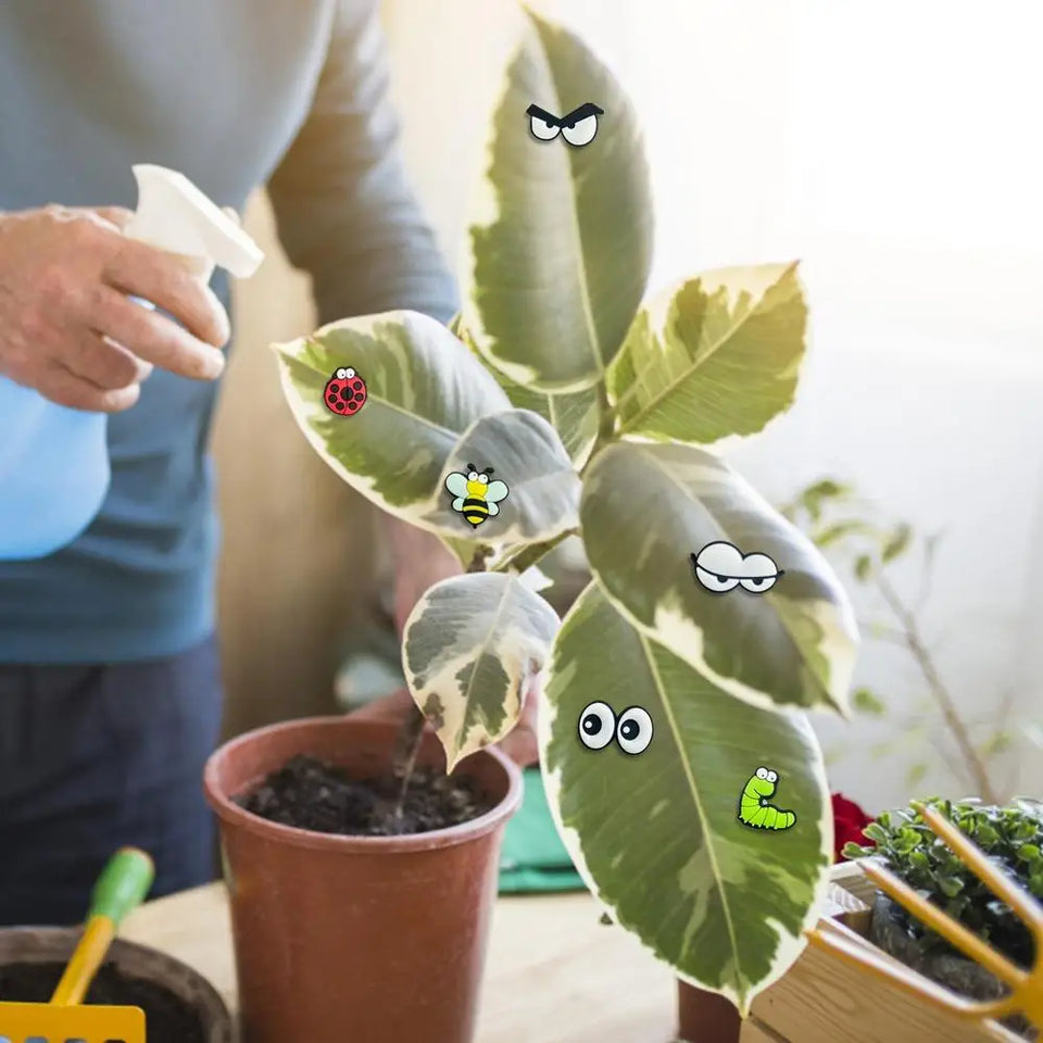 Plant Leaf Magnets